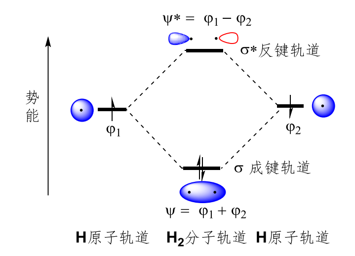 第一章 有机化学的分子结构基础 - 杨树の宝藏小屋