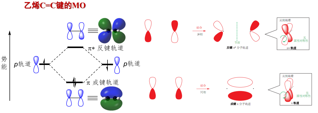第一章 有机化学的分子结构基础 - 杨树の宝藏小屋